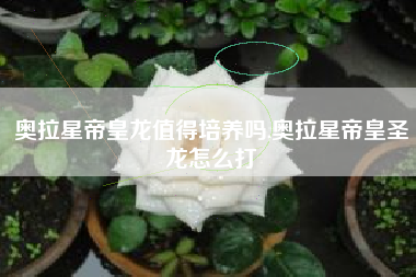 奥拉星帝皇龙值得培养吗,奥拉星帝皇圣龙怎么打