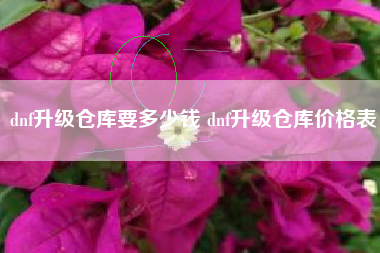 dnf升级仓库要多少钱 dnf升级仓库价格表