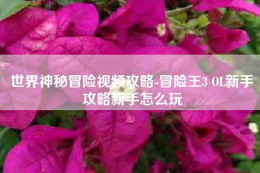 世界神秘冒险视频攻略-冒险王3 OL新手攻略新手怎么玩