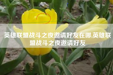 英雄联盟战斗之夜邀请好友在哪,英雄联盟战斗之夜邀请好友