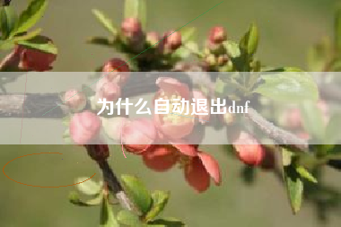 为什么自动退出dnf