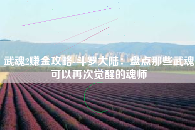 武魂2赚金攻略-斗罗大陆：盘点那些武魂可以再次觉醒的魂师