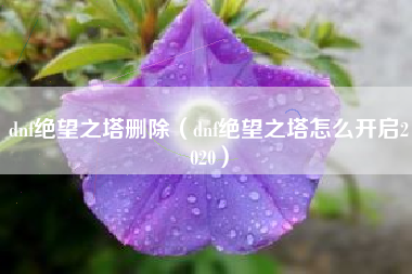 dnf绝望之塔删除（dnf绝望之塔怎么开启2020）