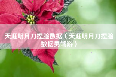 天涯明月刀捏脸数据（天涯明月刀捏脸数据男端游）
