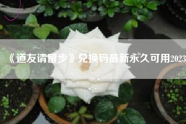 《道友请留步》兑换码最新永久可用2023