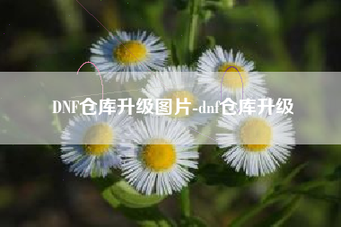 DNF仓库升级图片-dnf仓库升级