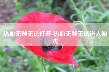 热血无赖无法打开-热血无赖无法进入游戏