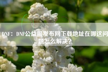 DNF：DNF公益服发布网下载地址在哪这问题怎么解决？