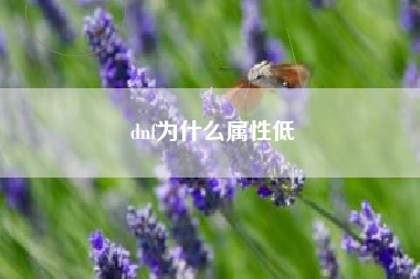 dnf为什么属性低