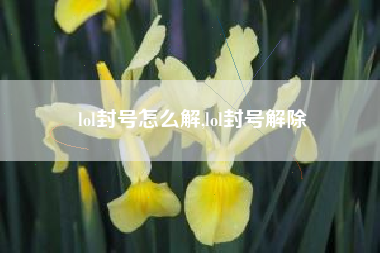 lol封号怎么解,lol封号解除