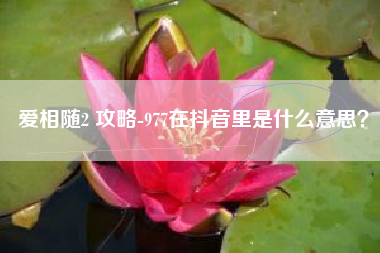 爱相随2 攻略-977在抖音里是什么意思？