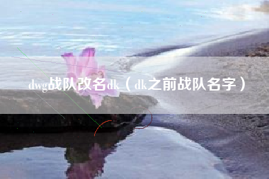 dwg战队改名dk（dk之前战队名字）
