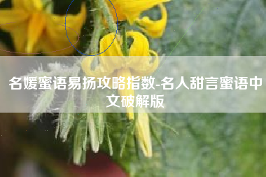 名媛蜜语易扬攻略指数-名人甜言蜜语中文破解版