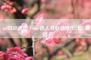 dnf自动退出「dnf 进去就自动退出什么原因」