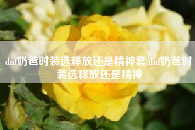 dnf奶爸时装选释放还是精神套,dnf奶爸时装选释放还是精神