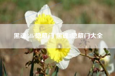 黑魂3dlc隐藏门 黑魂3隐藏门大全