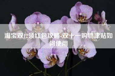 淘宝双12领红包攻略-双十一购物津贴如何使用