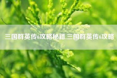 三国群英传6攻略秘籍,三国群英传6攻略