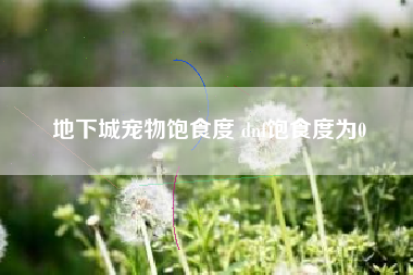 地下城宠物饱食度 dnf饱食度为0