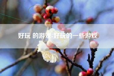 好玩 的游戏-好玩的一些游戏