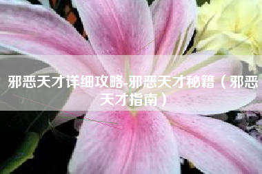 邪恶天才详细攻略-邪恶天才秘籍（邪恶天才指南）