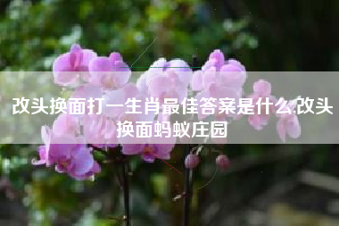 改头换面打一生肖最佳答案是什么,改头换面蚂蚁庄园