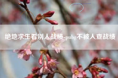 绝地求生看别人战绩-pubg不被人查战绩