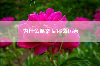 为什么温柔dnf那么厉害