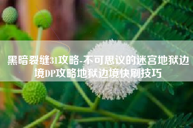 黑暗裂缝31攻略-不可思议的迷宫地狱边境DP攻略地狱边境快刷技巧