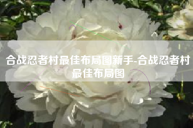 合战忍者村最佳布局图新手-合战忍者村最佳布局图
