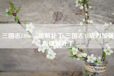 三国志13steam破解补丁 三国志13威力加强版破解补丁