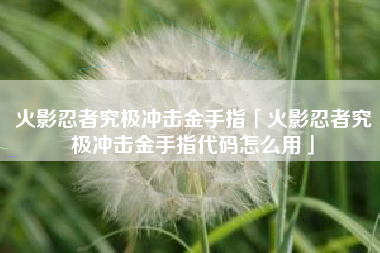 火影忍者究极冲击金手指「火影忍者究极冲击金手指代码怎么用」