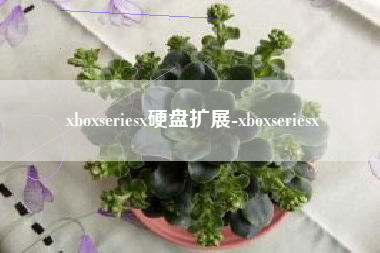 xboxseriesx硬盘扩展-xboxseriesx