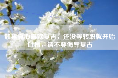 如果真心喜欢复古，还没等转职就开始吐槽，请不要侮辱复古