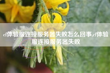 cf体验服连接服务器失败怎么回事,cf体验服连接服务器失败