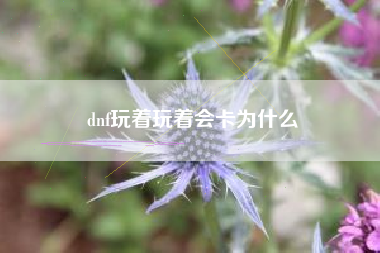dnf玩着玩着会卡为什么
