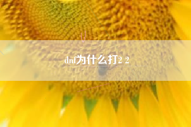 dnf为什么打2 2