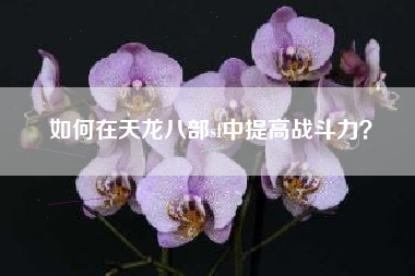 如何在天龙八部sf中提高战斗力？
