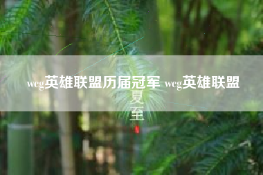 wcg英雄联盟历届冠军 wcg英雄联盟