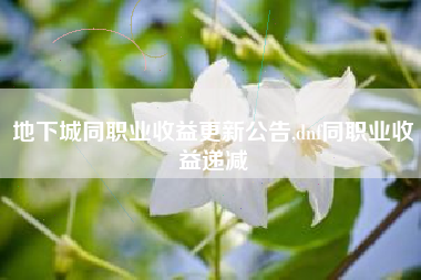 地下城同职业收益更新公告,dnf同职业收益递减