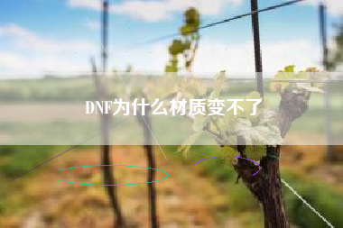 DNF为什么材质变不了