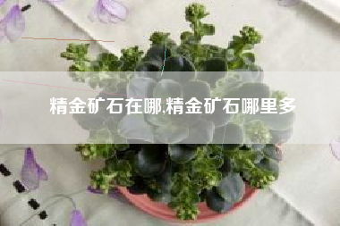 精金矿石在哪,精金矿石哪里多