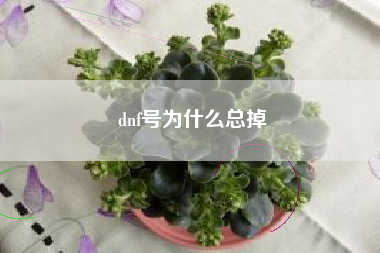 dnf号为什么总掉