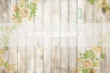 dnf为什么在家玩不了