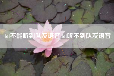 lol不能听到队友语音,lol听不到队友语音