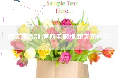 新天龙八部3官网电脑版,新天龙八部3