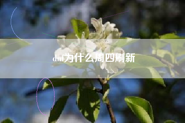 dnf为什么周四刷新