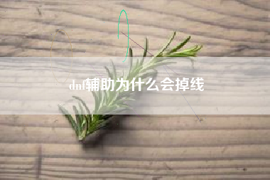 dnf辅助为什么会掉线