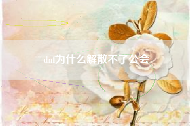 dnf为什么解散不了公会