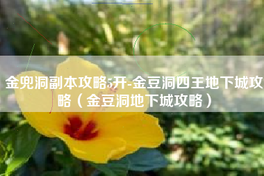 金兜洞副本攻略5开-金豆洞四王地下城攻略（金豆洞地下城攻略）